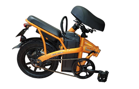 Mini monster bike