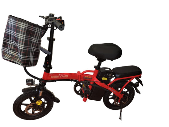 mini moster bike R