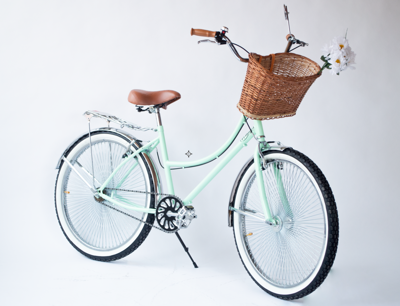 Mint green hot sale vintage bike
